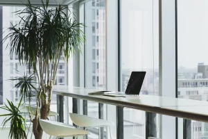 Urban Gardening: How to Cultivate a Green Space in Your Apartment